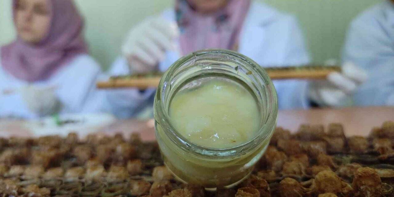 Kilosu 10 bin liradan satılıyor...Siparişlere yetişemiyor