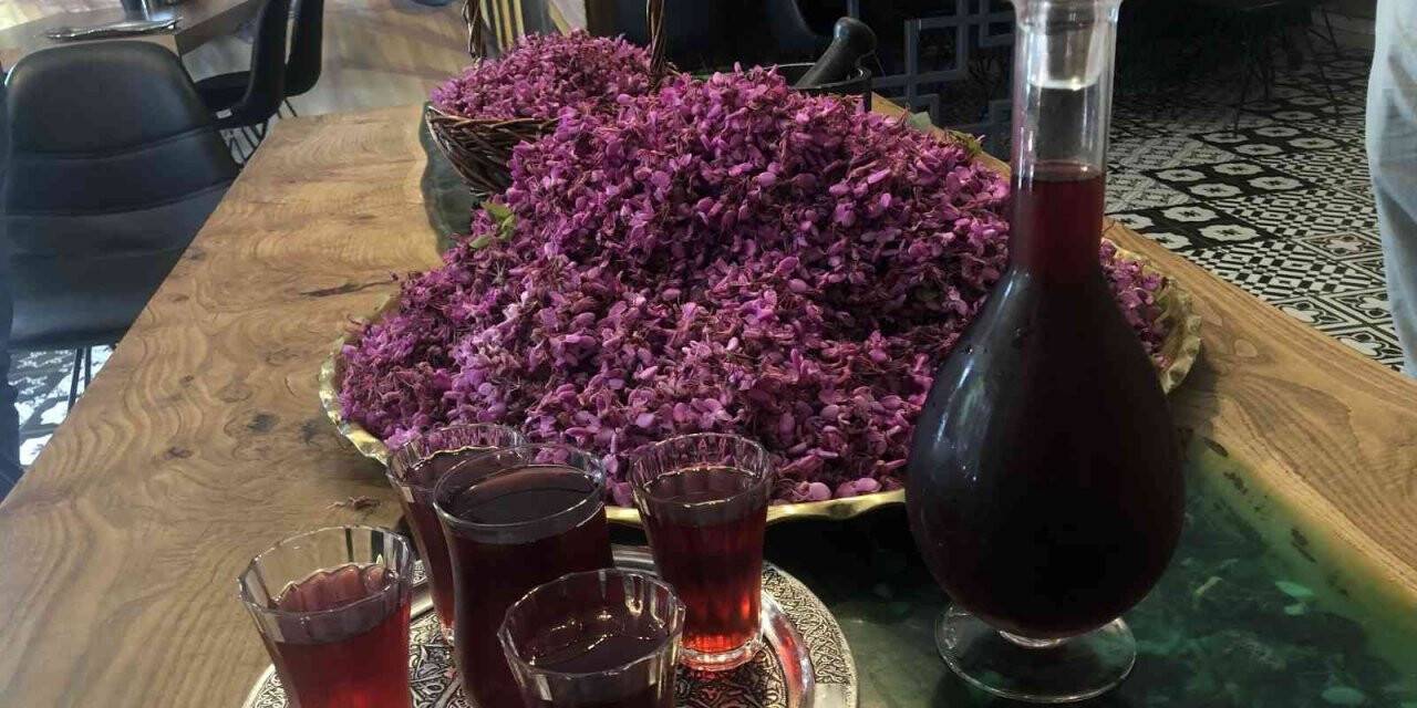 Osmanlı mutfağı lezzeti erguvan şerbetine yoğun ilgi