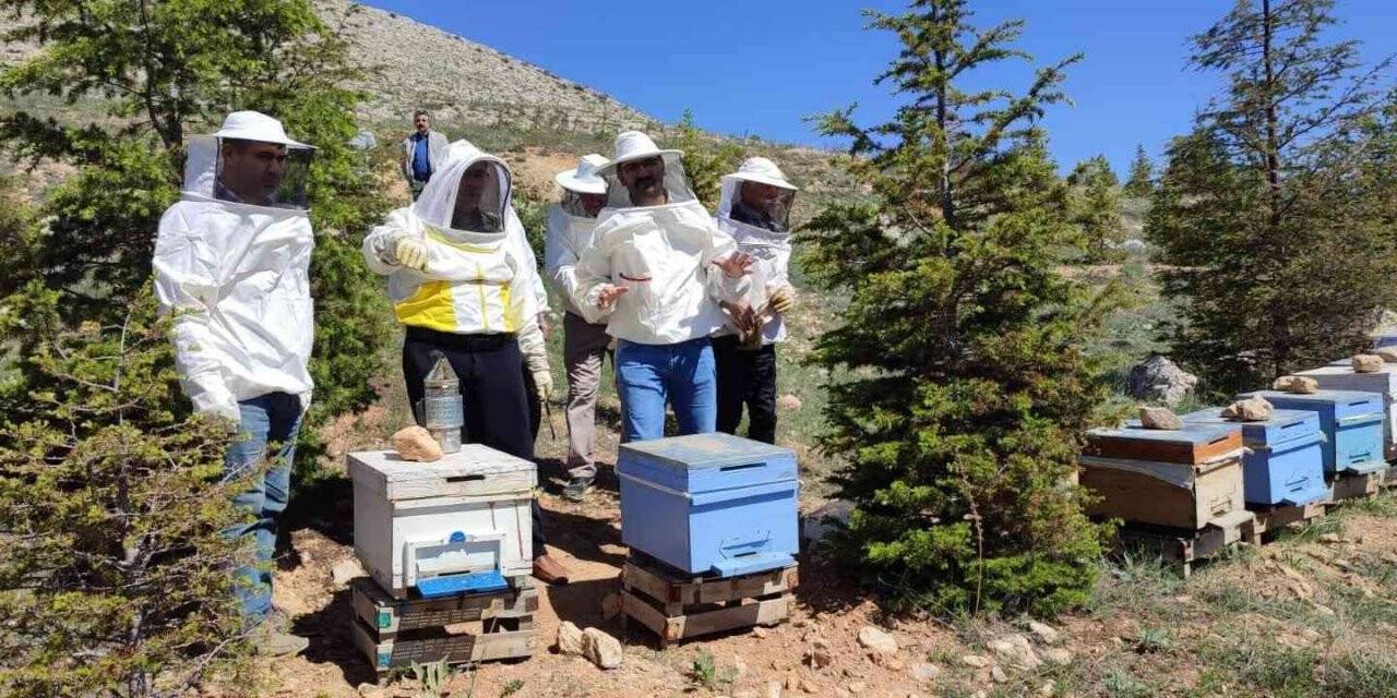 Elbistan’da arıcılık kursu sona erdi