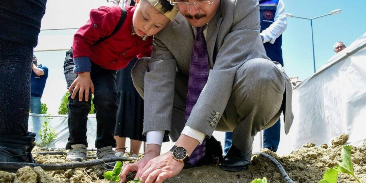 Bilecik’te özel çocuklar için sera oluşturuldu