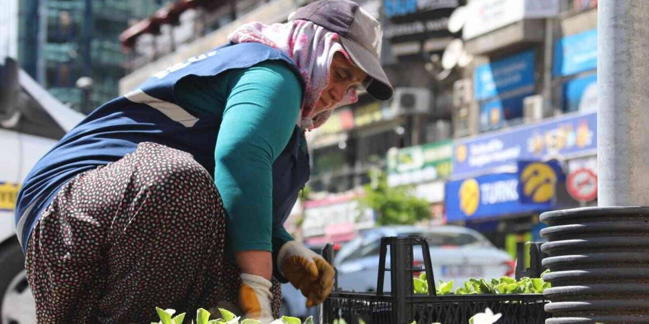 Elazığ, kadın eliyle güzelleşiyor