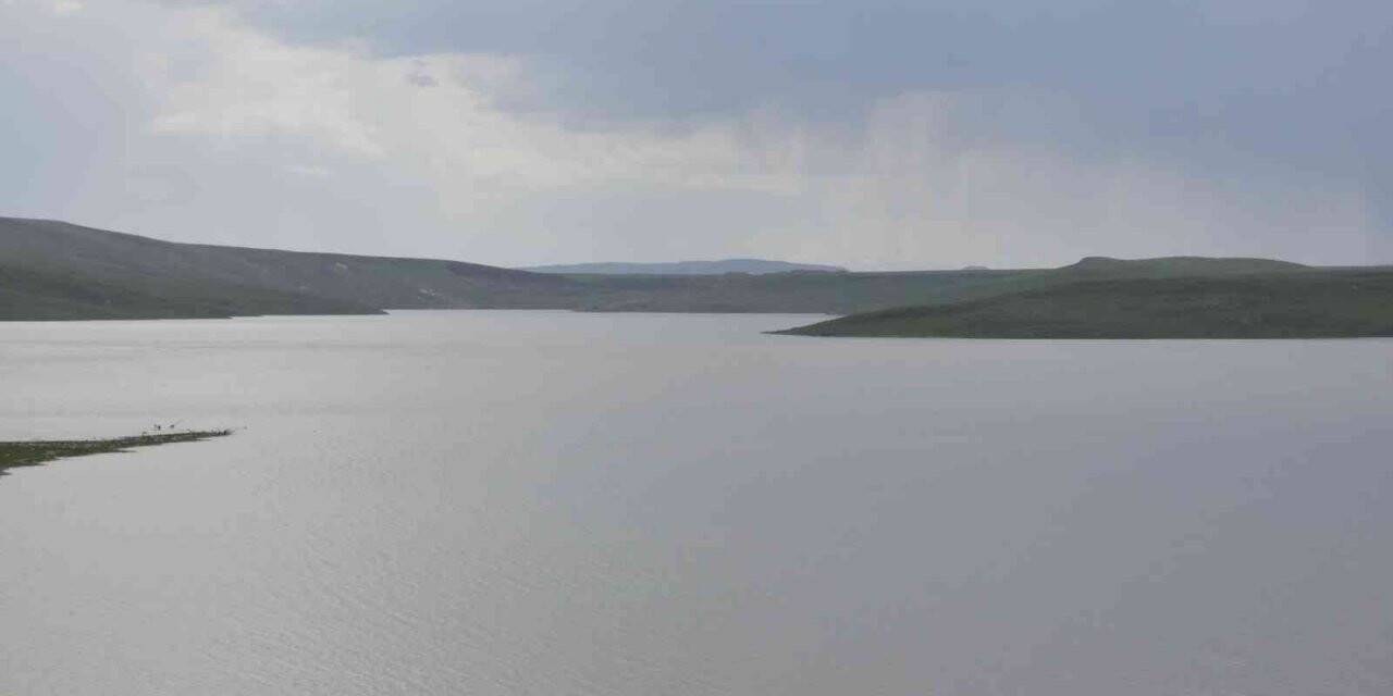 Kars’ta balık avı yasağı bugün başladı