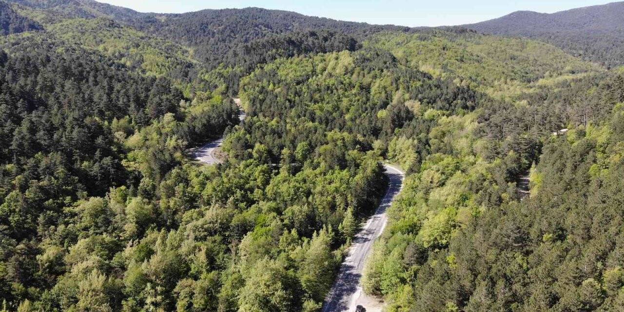 Kazdağları’nda yeşilin bin bir tonu havadan görüntülendi
