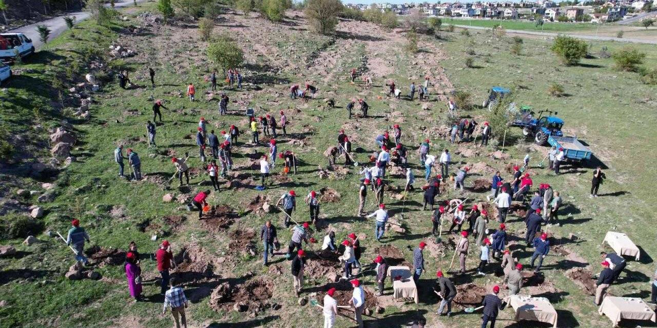 Talas Belediyesi’nden Ali Dağı’na fidan dikimi