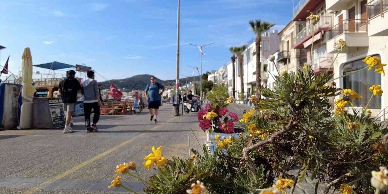 Foça, yaz sezonuna hazır