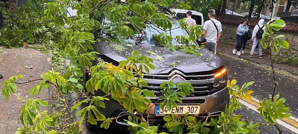 Üsküdar’da seyir halindeki araçların üzerine ağaç devrildi