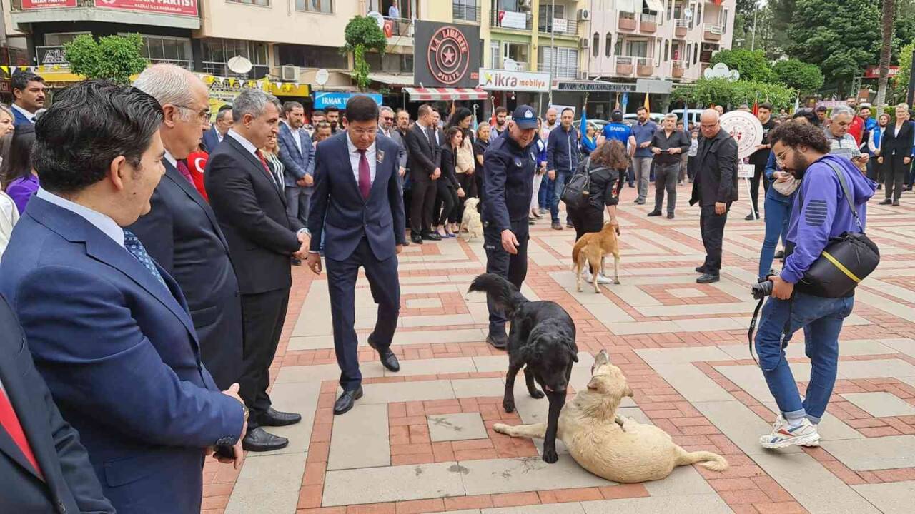 Protokolün sokak köpekleriyle imtihanı