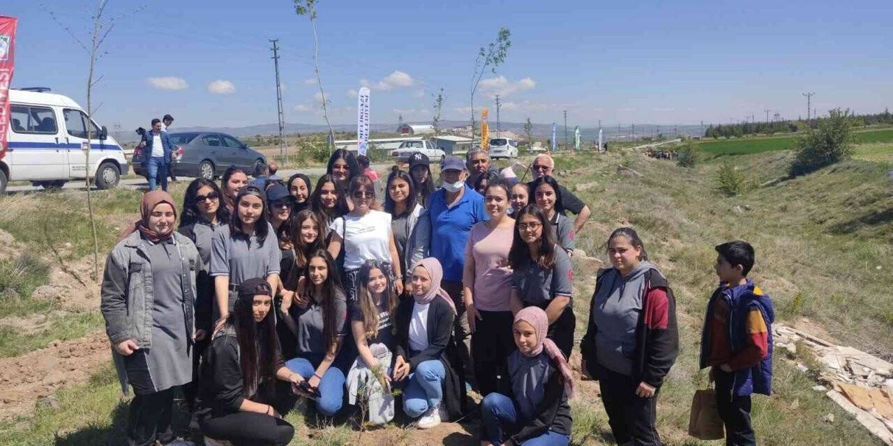 Öğrenciler, 19 Mayıs’a özel ağaç dikti