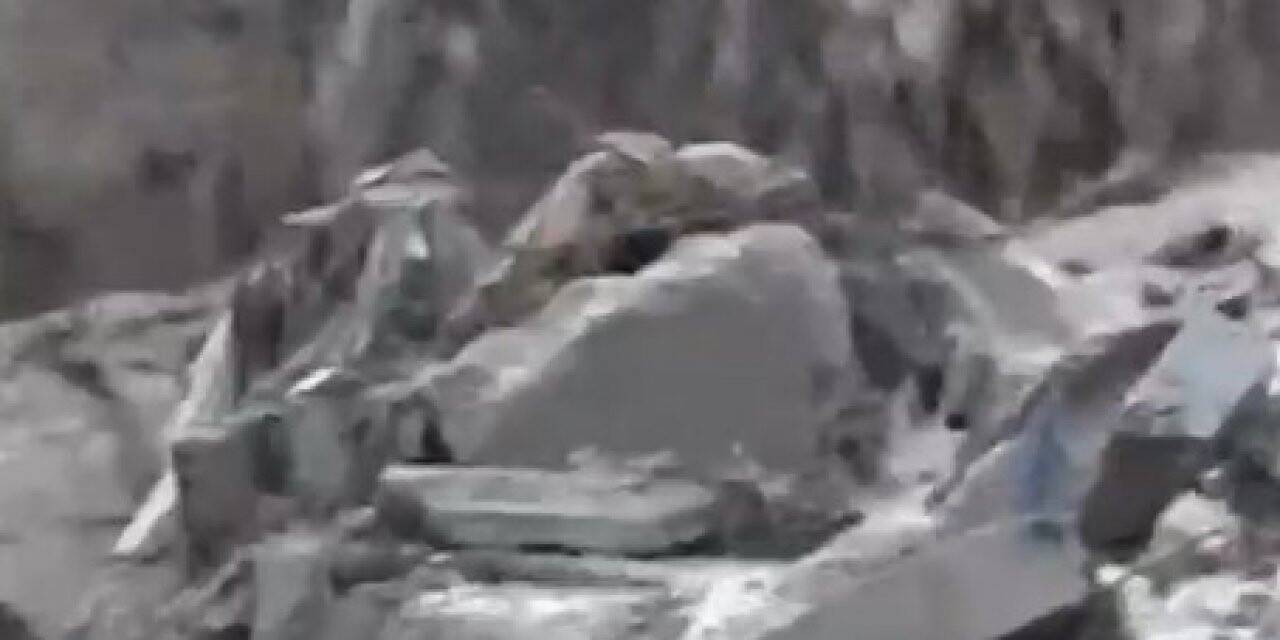 Sel sularında mahsur kalan tilkinin 11 dakikalık yaşam mücadelesi