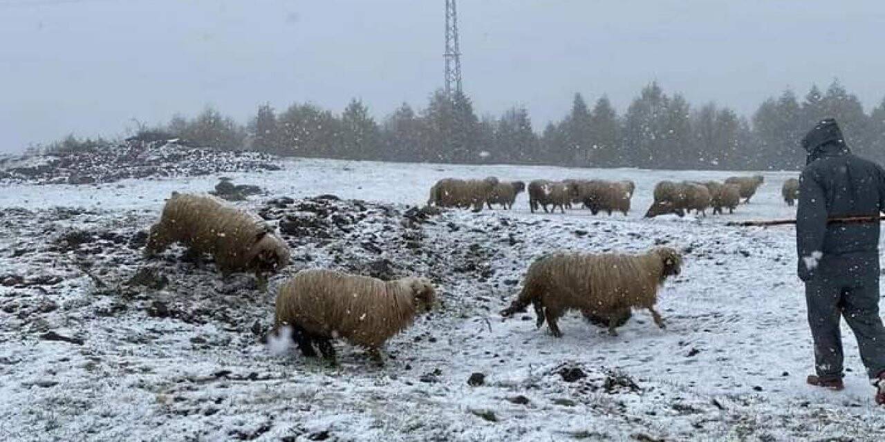 Ordu’da mayıs ortasında yağan kar şaşırttı