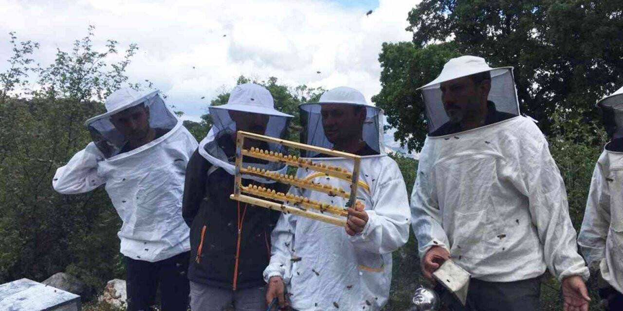 Arıcılara Apiterapik ürün eğitimi