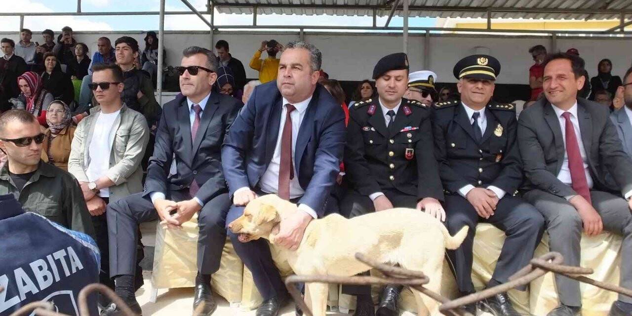 Balıkesir’de 19 Mayıs törenlerinde protokol tribününe çıkan köpek ilginç görüntüler oluşturdu