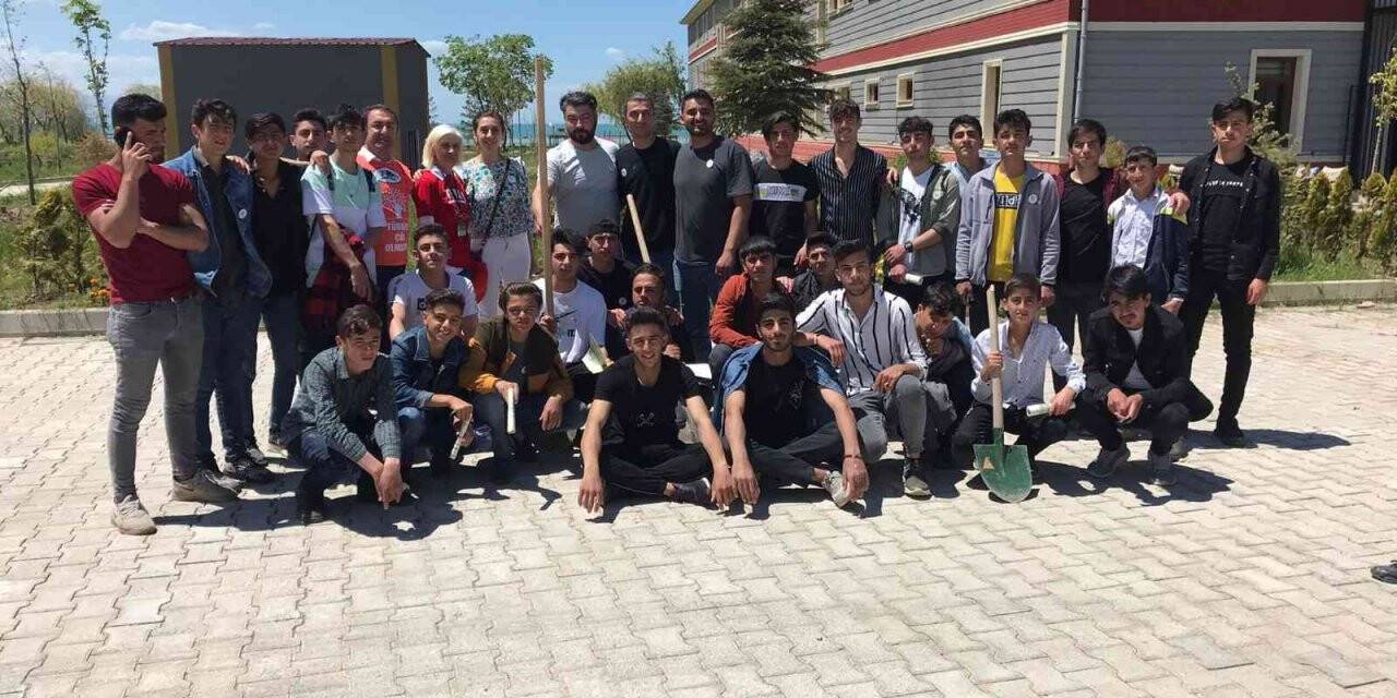 Gençler Van Gölü sahilinde temizlik yapıp fidan dikti