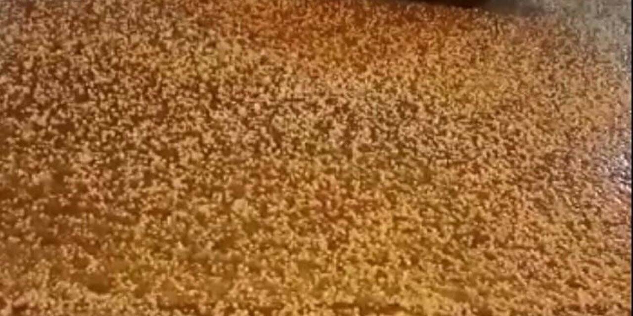 Mayısın ortasında dolu yağışı etkili oldu