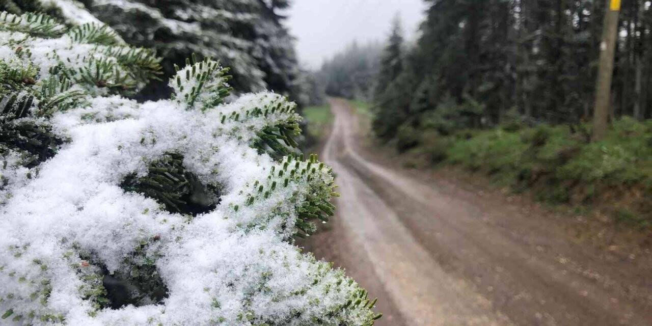 Bolu’nun yüksek kesimlerine Mayıs ayında kar yağdı