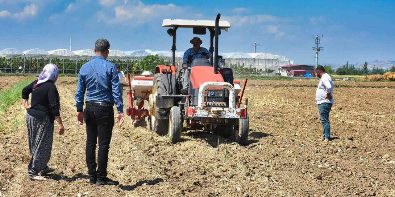 Tarsus’ta soya fasulyesi ekimi yapıldı