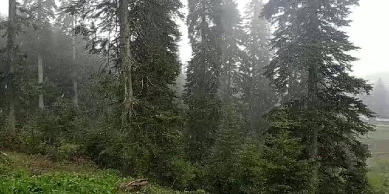Düzce’de mayıs ayında kar sürprizi