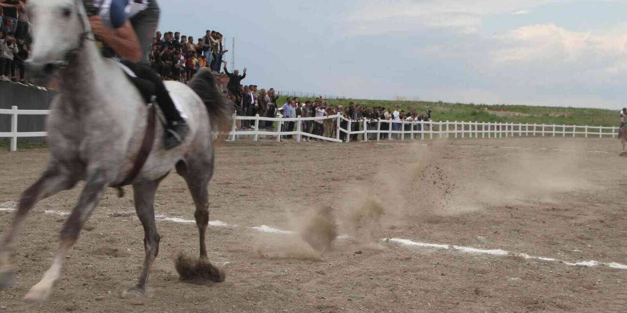 Malazgirt’te 19 Mayıs etkinliğinde at yarışı yapıldı