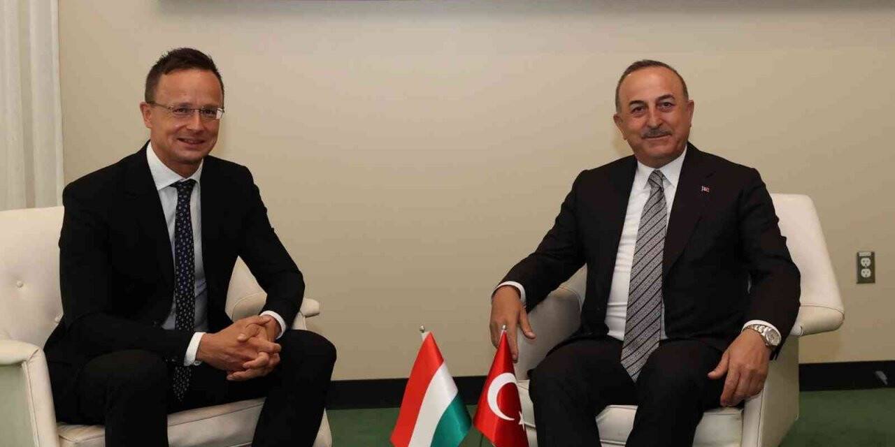 Dışişleri Bakanı Çavuşoğlu, Macaristan Dışişleri Bakanı Szijjarto ile bir araya geldi