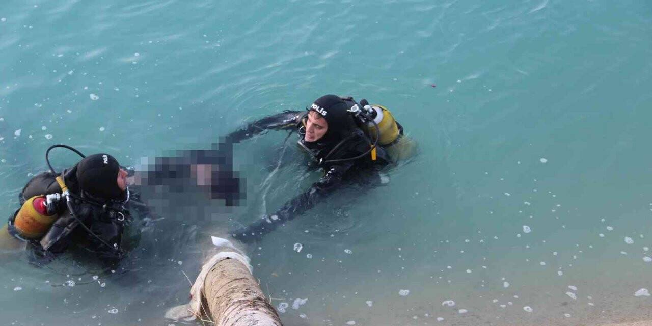 Tiktok için atladığı sulama kanalında boğuldu