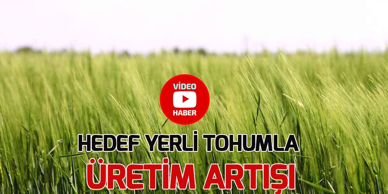 Hububatta hedef yerli tohumla üretimin artırılması