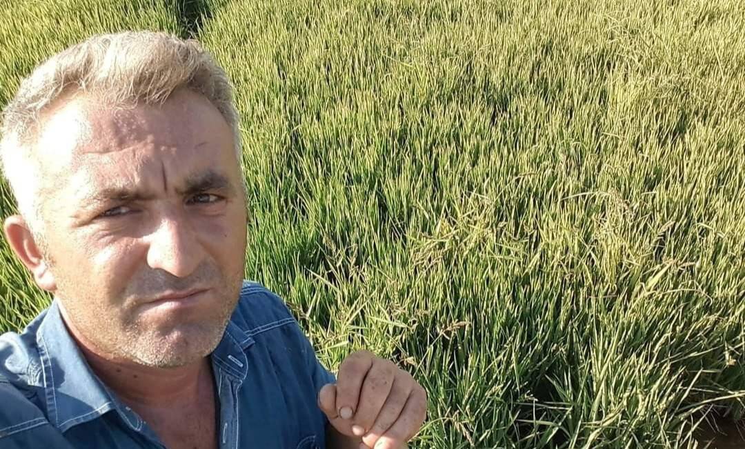 Kestiği ağacın altında can verdi
