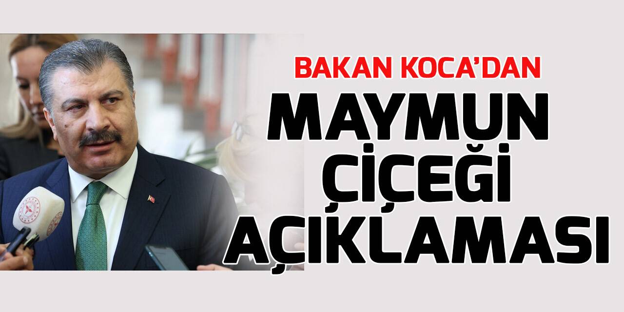 Sağlık Bakanı Koca: Bugüne kadar bizde maymun çiçeği vakası olmadı