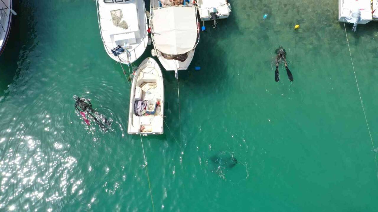 Deniz dibini 2 saatte pırıl pırıl yaptılar