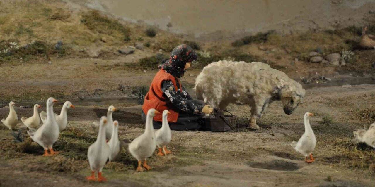 Türkiye’nin ilk Peynir Müzesi Kars’ta