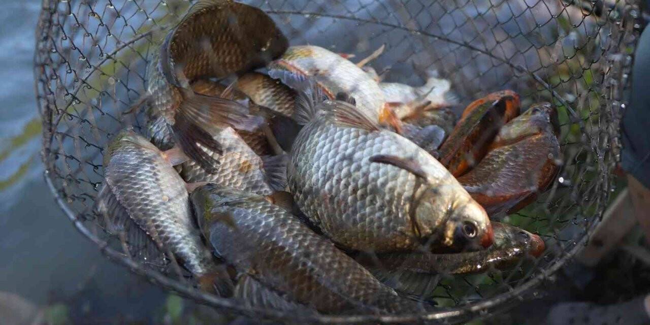 İsrail sazanına savaş açıldı