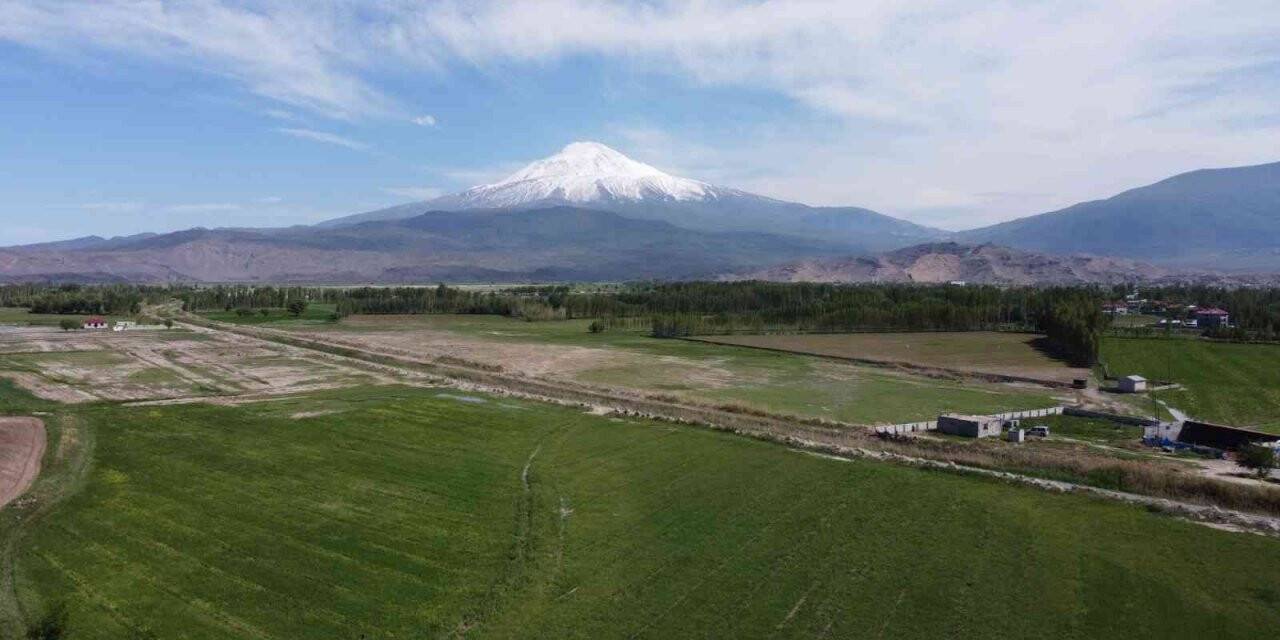 Iğdır Ovasından, Ağrı Dağı göz kamaştırıyor