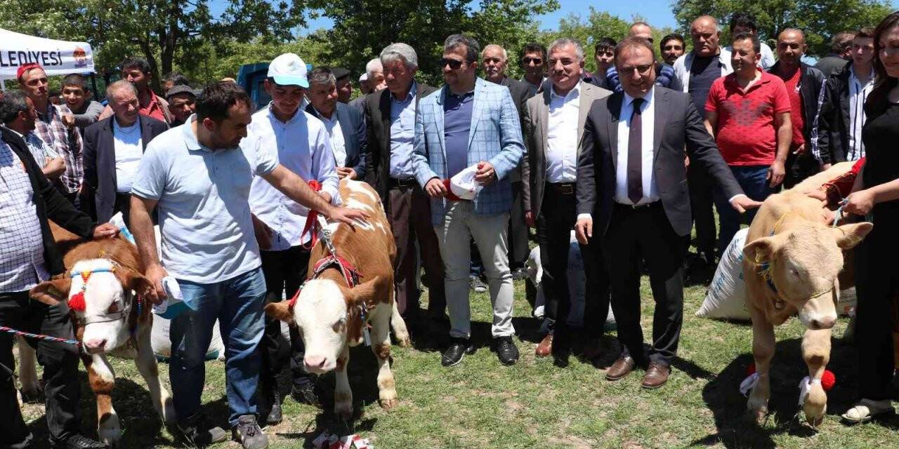 Havza’da yayla şenliği