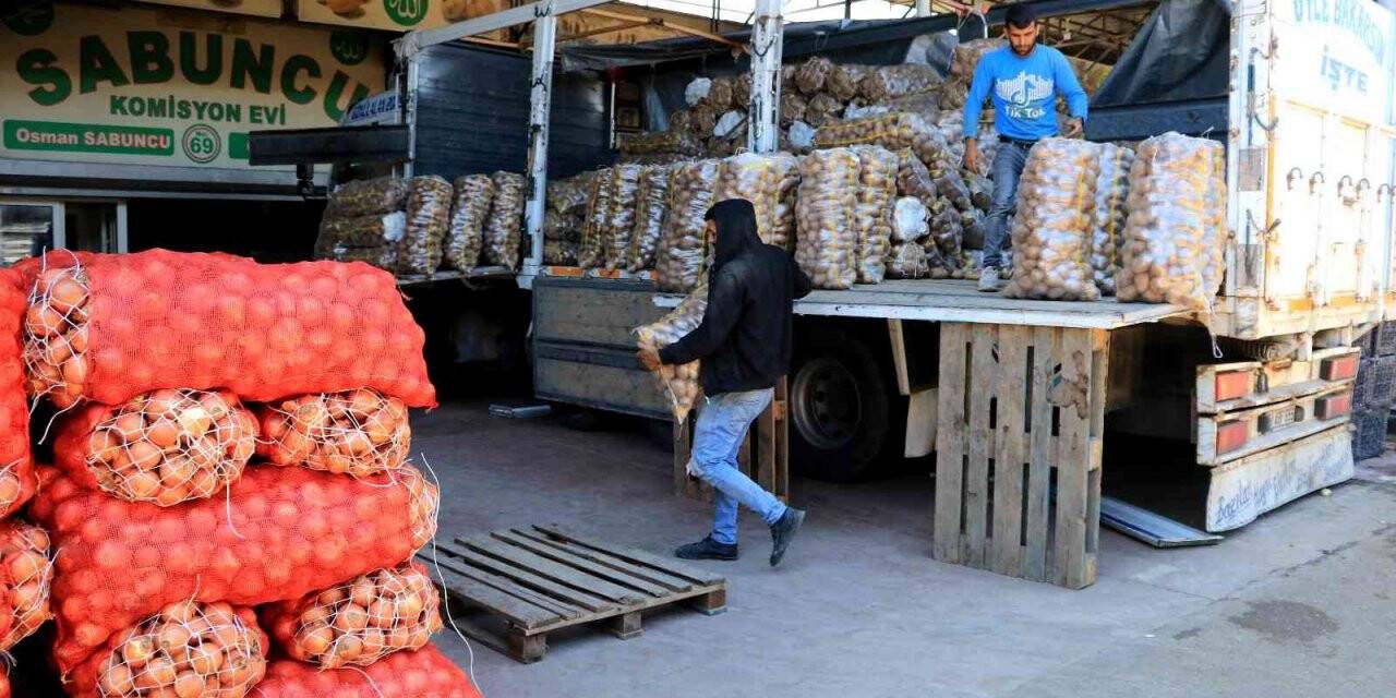 Sebze ve meyve fiyatları yarı yarıya düşecek