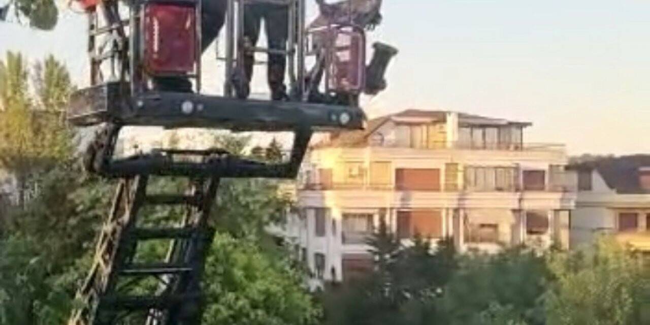 İstanbul’da kuş kurtarma operasyonu kamerada
