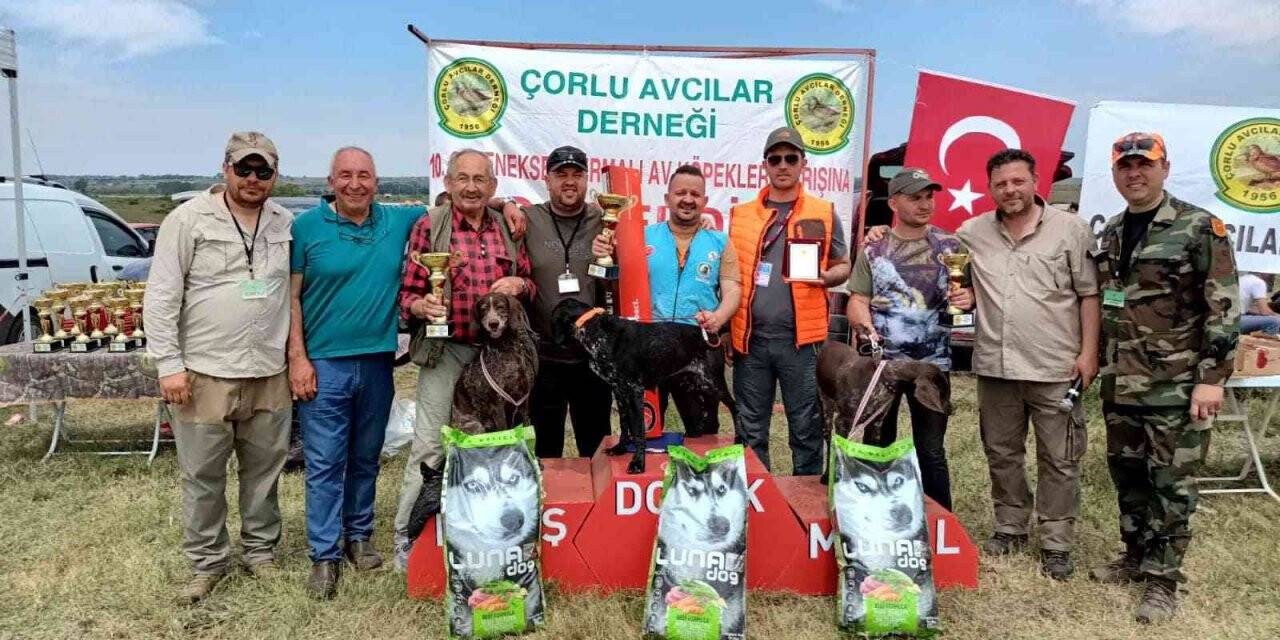 Çorlu’da köpek ırkları yarışması düzenlendi