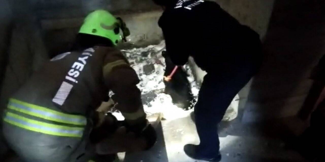 Kartal’da asansör boşluğuna düşen köpeği, kurtarma operasyonu