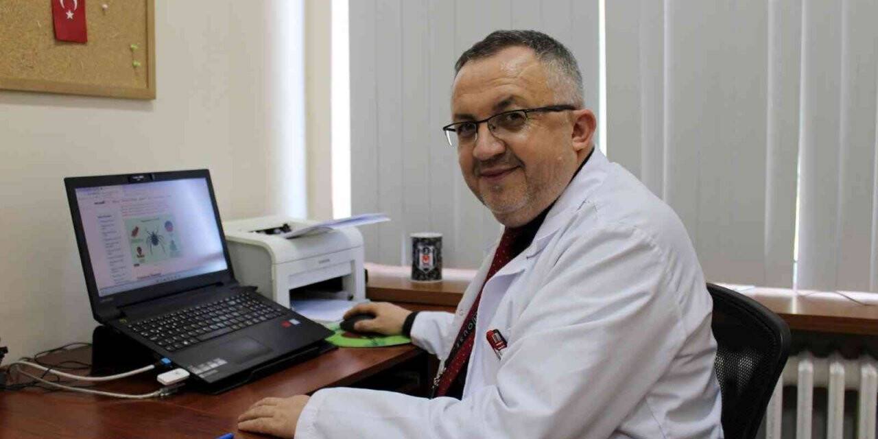 Ölümcül kene, doğru yöntemle bir an önce çıkartılmalı