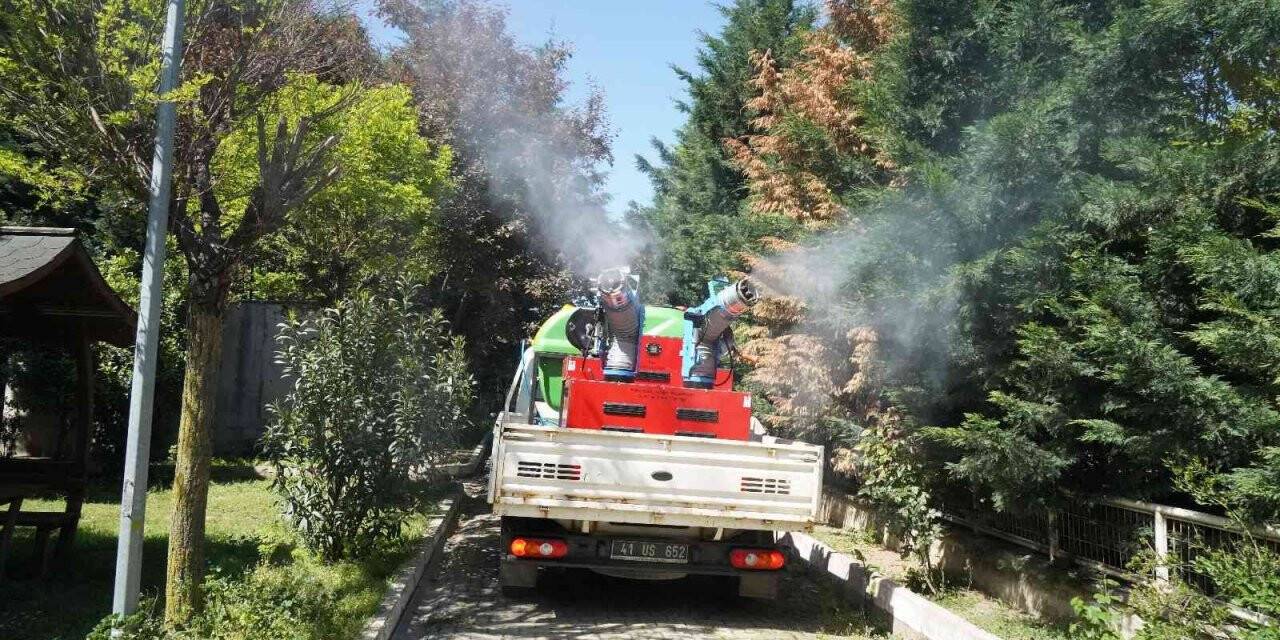 Robotik kodlama kollu araçla vektörle mücadele