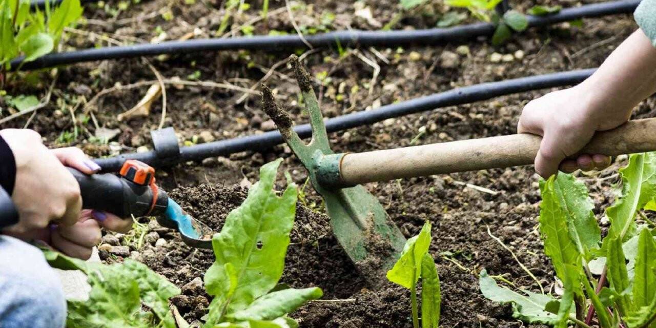 ’Terasta Tarım’ alanında öğrenciler ağırlanmaya devam ediliyor