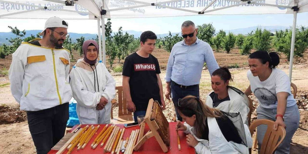 Büyükşehir’den, Dünya Arı Günü etkinliği