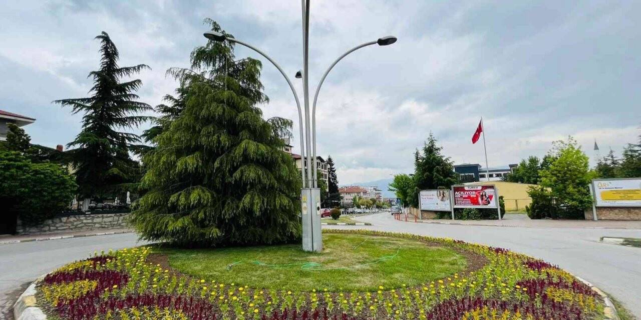 Tarihi ilçe Safranbolu, serada yetiştirilen çiçeklerle renklendi