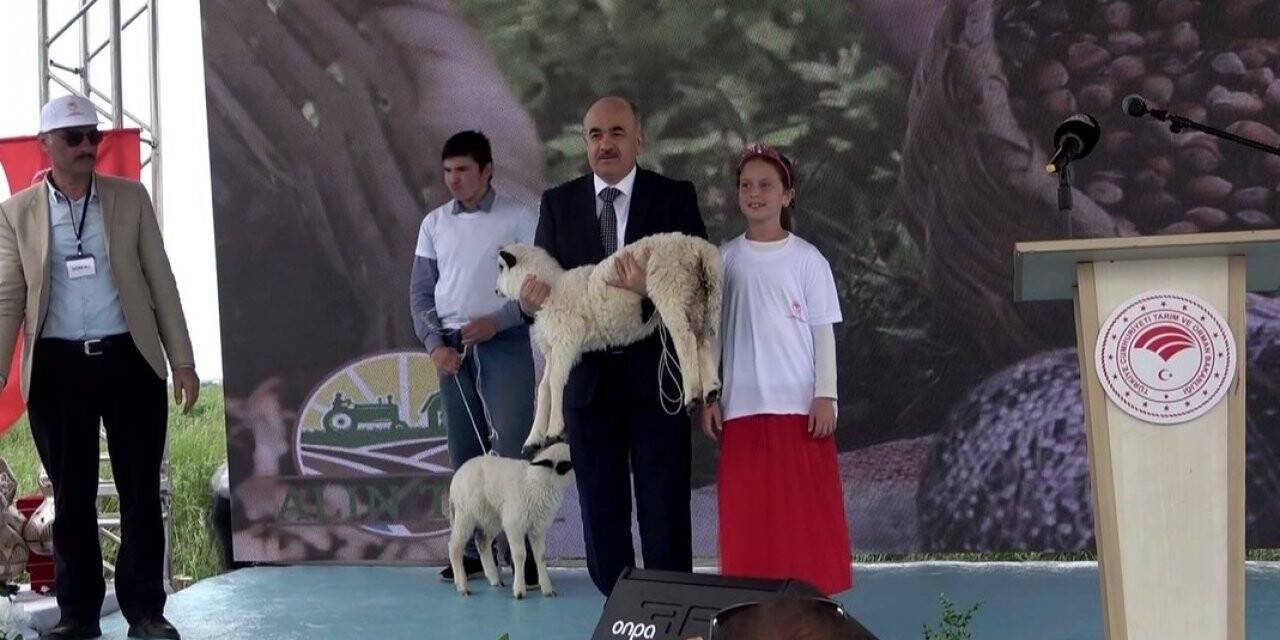 Mera Islahı ve Amenajman Projesi açılışı