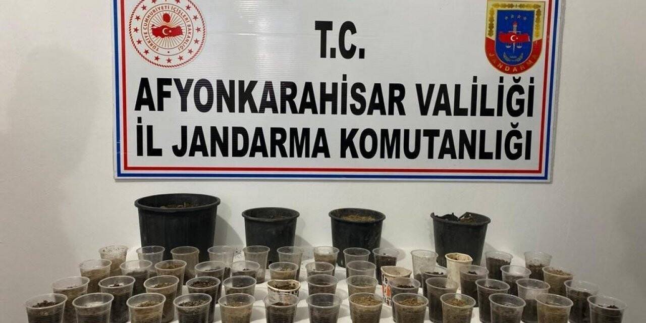 Devriye gezen ekipler çiçek saksısında kenevir buldu