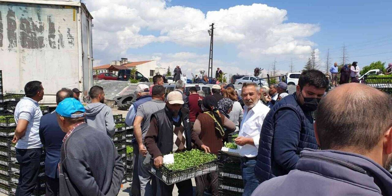 Evren’de çiftçiye fidan desteği
