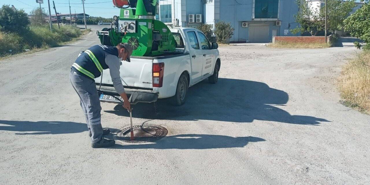 Burhaniye’ de sinek mücadelesi