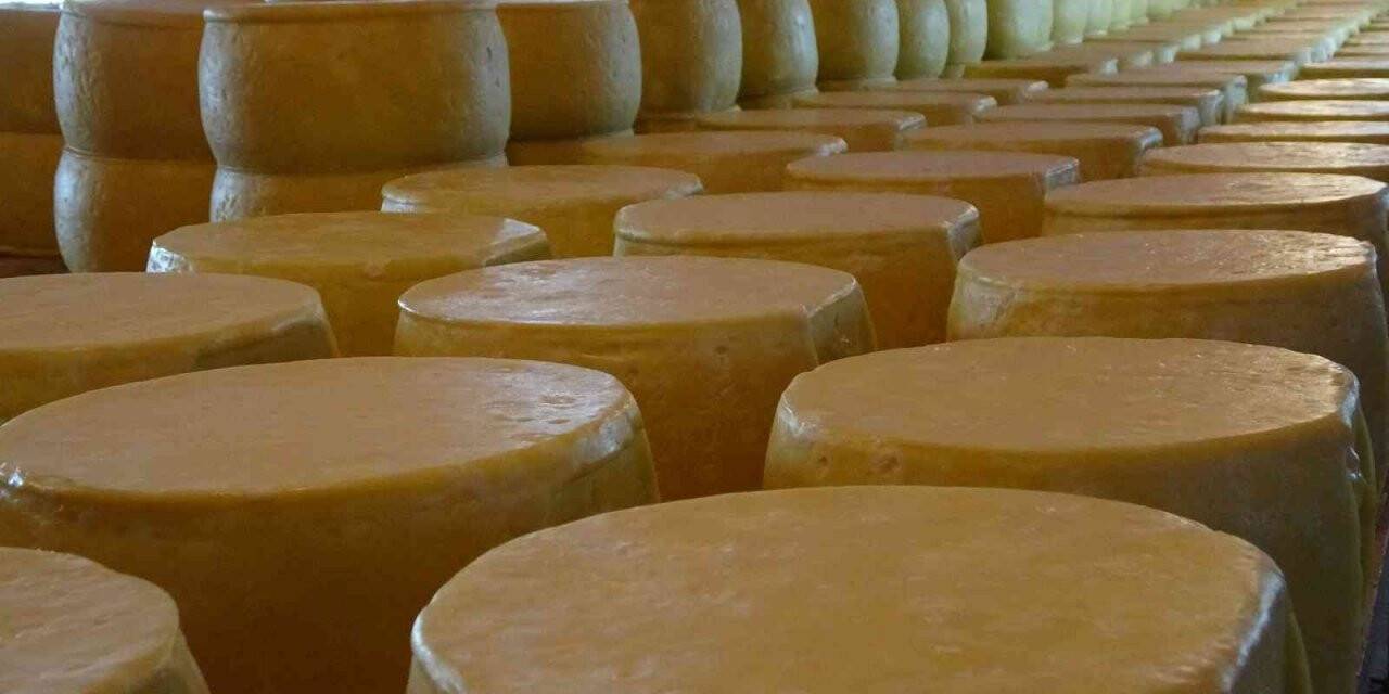 Muş’ta 65 yıllık baba mesleğini sürdüren kardeşler kente yılda 30 milyon lira katkı sağlıyor