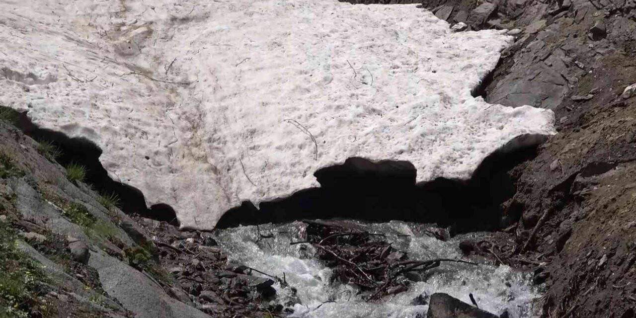 Kar sularının erimesiyle doğa yeniden canlandı