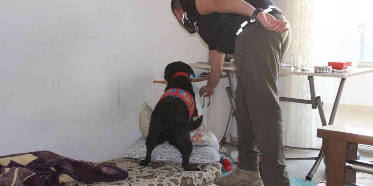 Uyuşturucu satıcılarına şafak operasyonu: 18 gözaltı