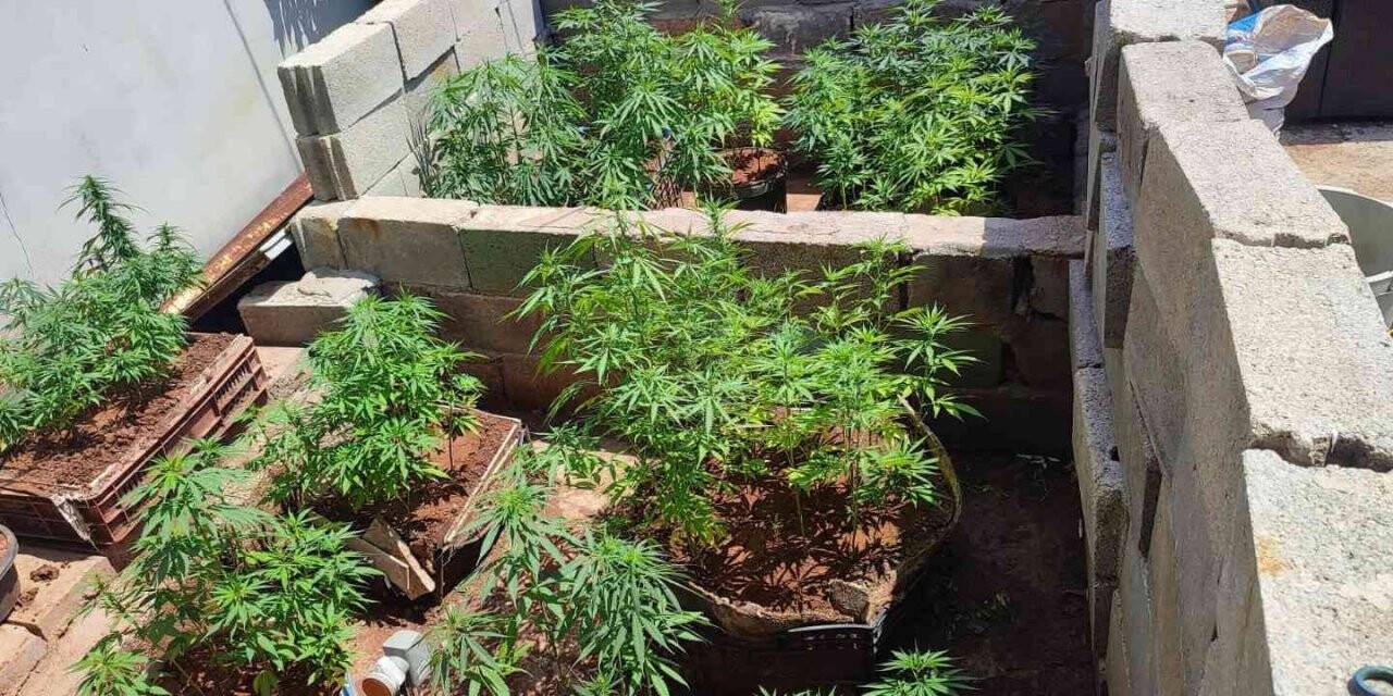 Hatay’da uyuşturucu operasyonu