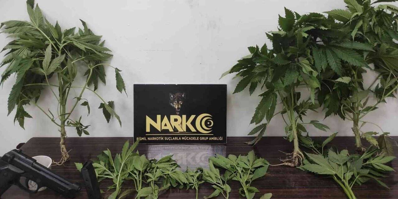 Huzur uygulamasında çok sayıda silah ve uyuşturucu ele geçirildi: 21 gözaltı